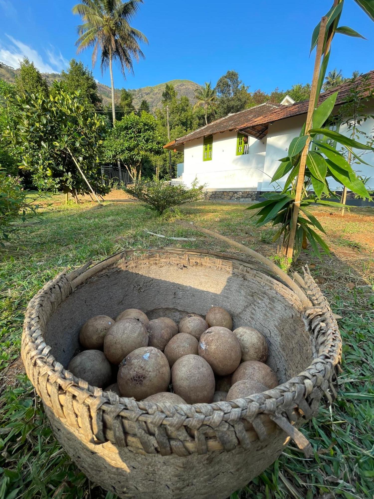 Calm Shack - 2 Bedroom-Boutique Farm Stay Munnar Exteriér fotografie