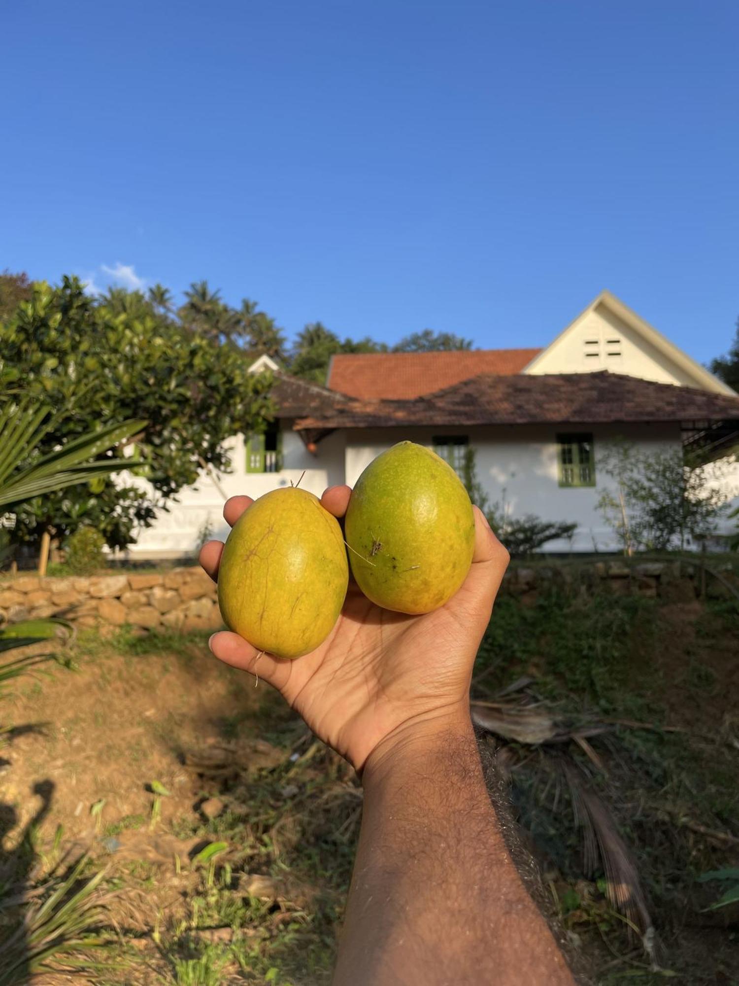 Calm Shack - 2 Bedroom-Boutique Farm Stay Munnar Exteriér fotografie