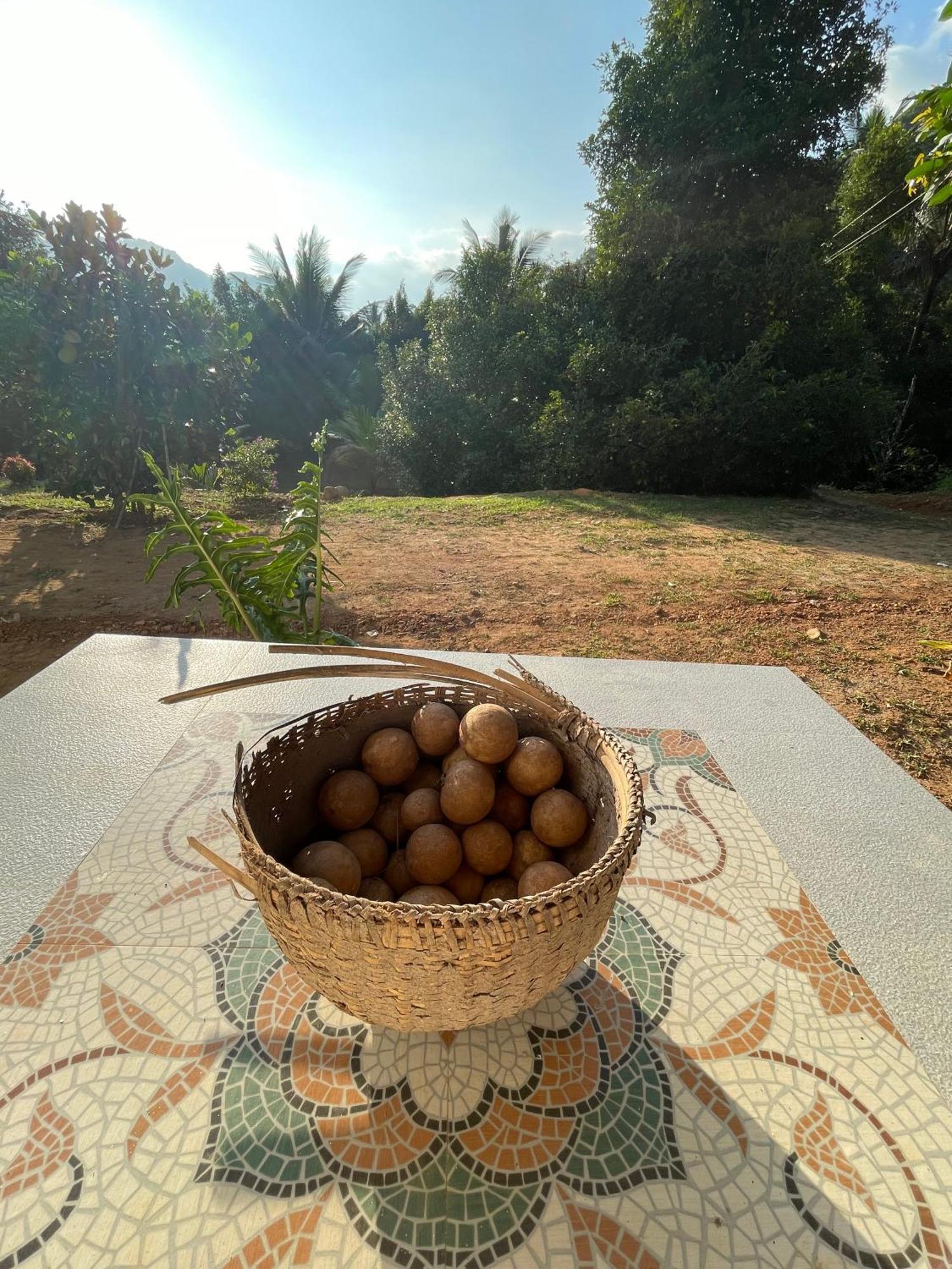 Calm Shack - 2 Bedroom-Boutique Farm Stay Munnar Exteriér fotografie