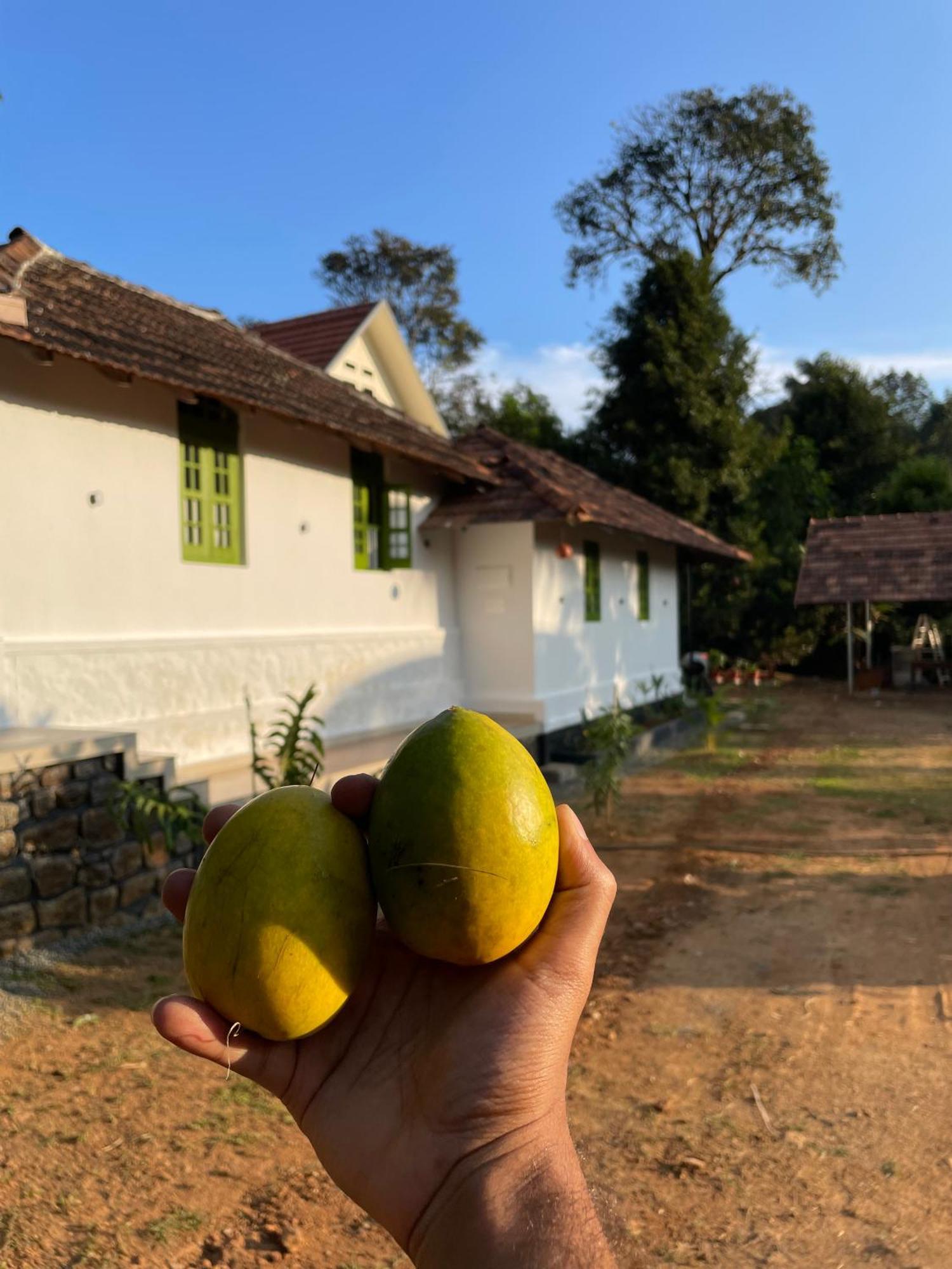 Calm Shack - 2 Bedroom-Boutique Farm Stay Munnar Exteriér fotografie
