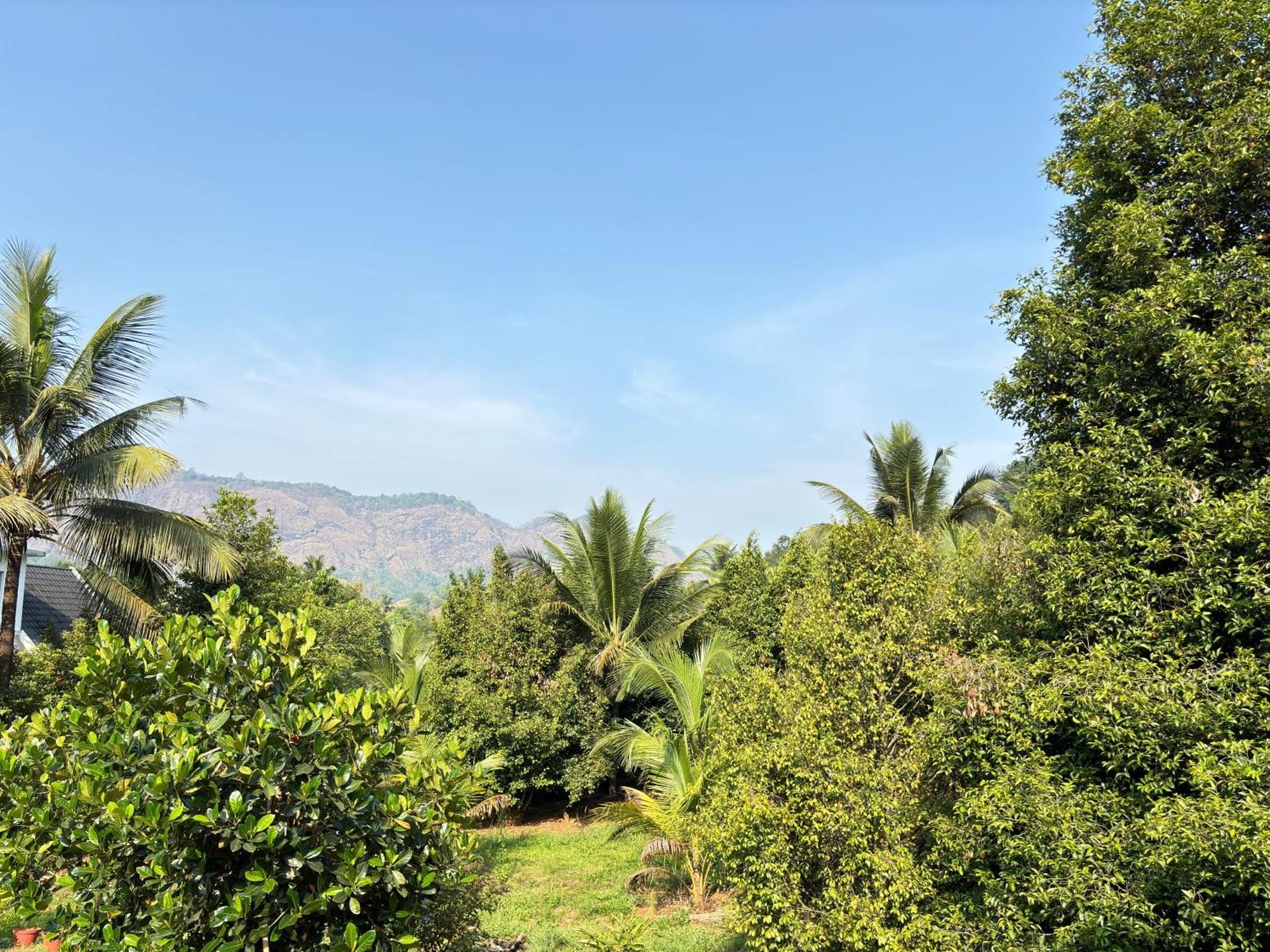 Calm Shack - 2 Bedroom-Boutique Farm Stay Munnar Exteriér fotografie